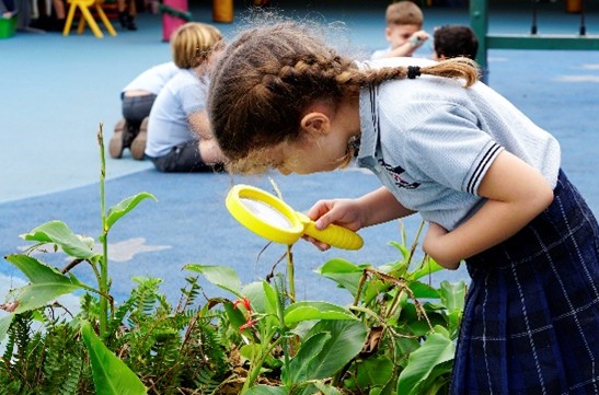Eco Team student at the British School of Tenerife